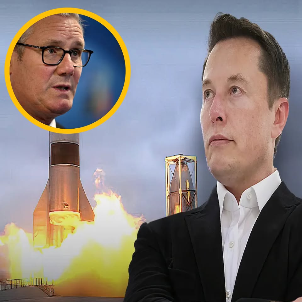 UK Wealth Fund Elon musk