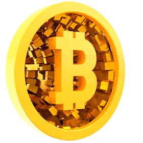 What is Bitcoin Champion?